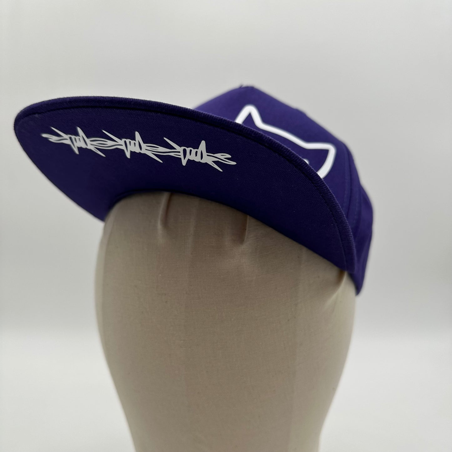 Cat Cap