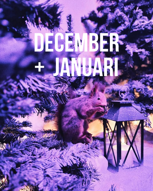 December + Januari