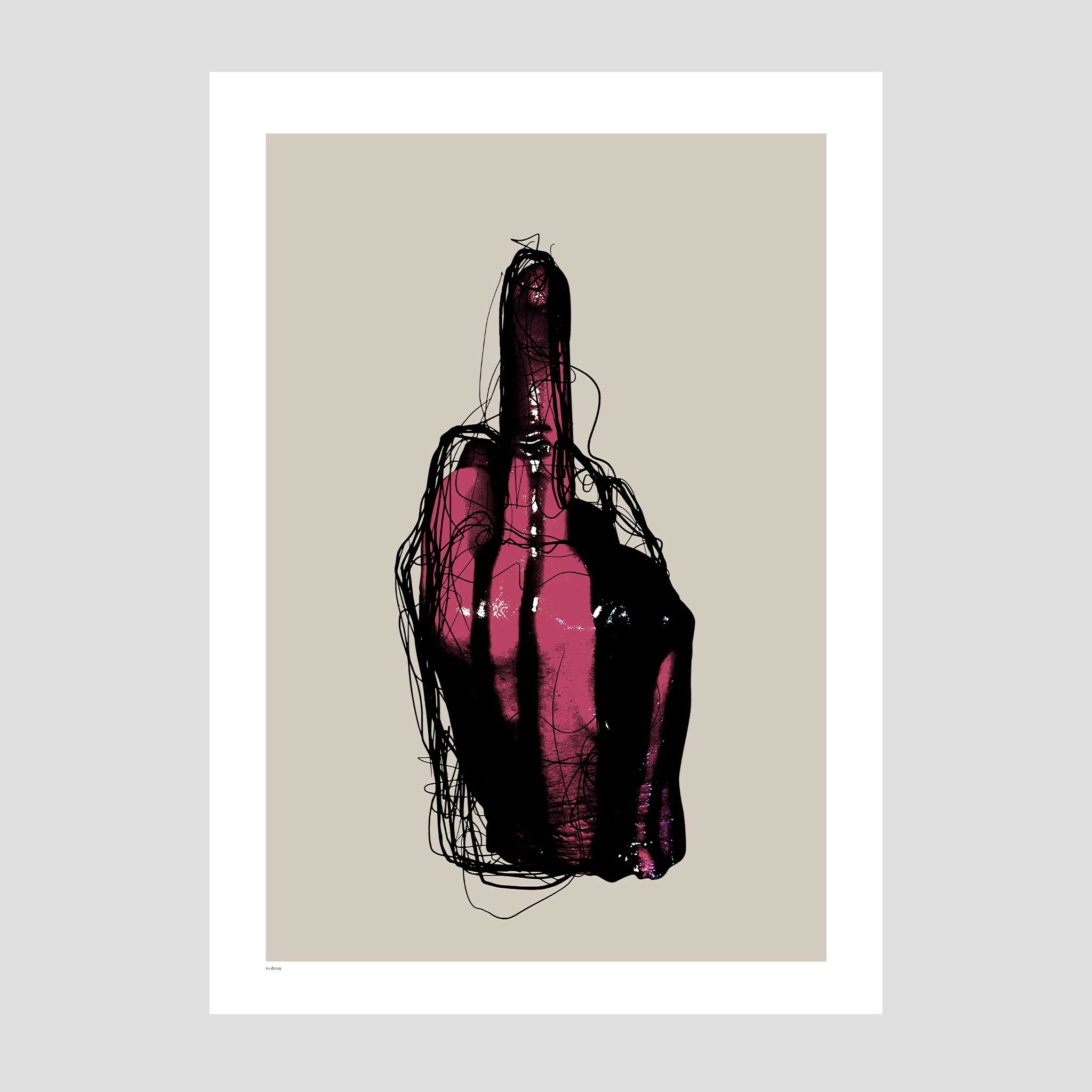 F*ck You Posters