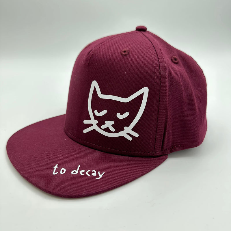 Keps Katt