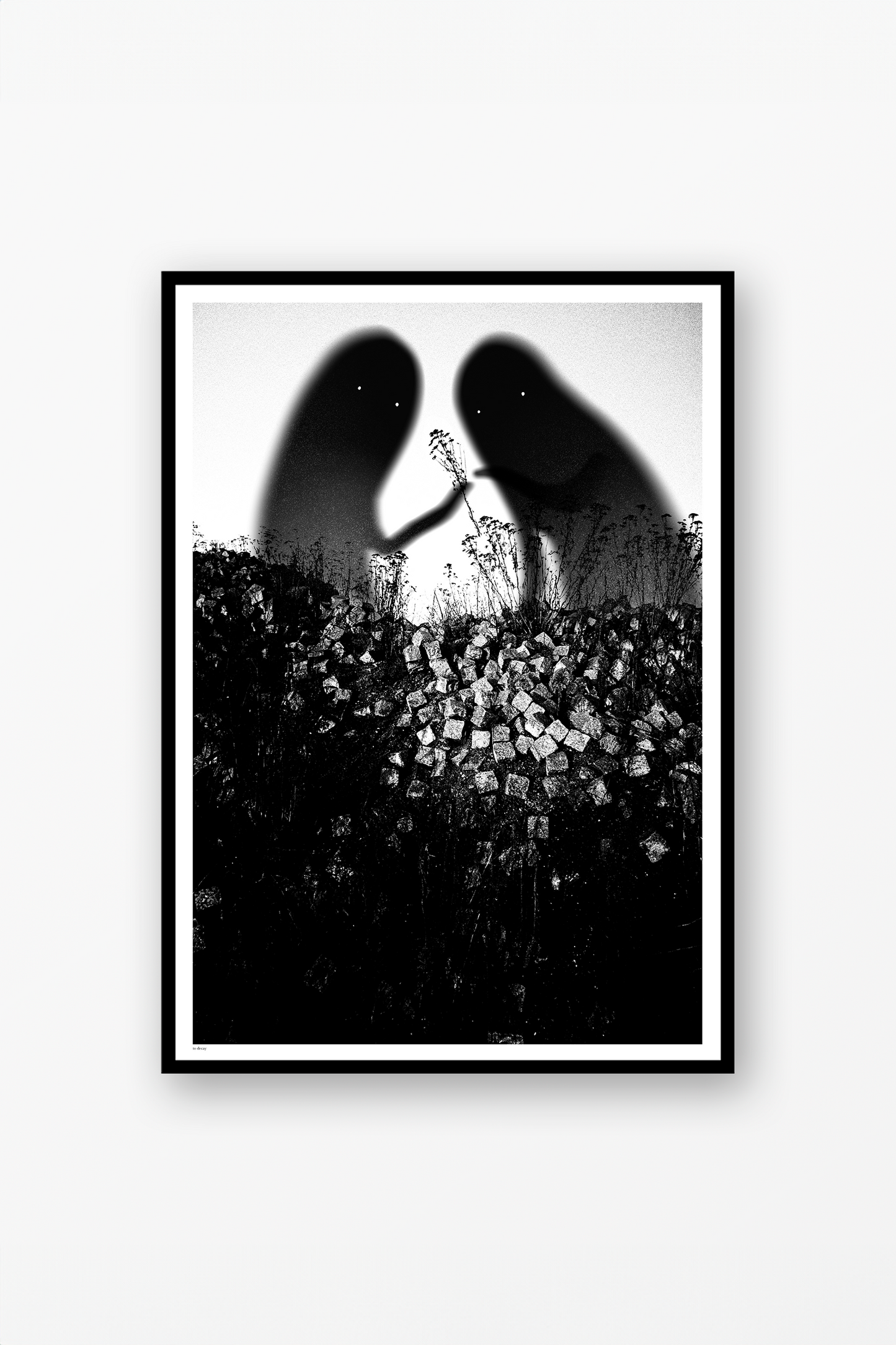 Ghost Flowers Poster