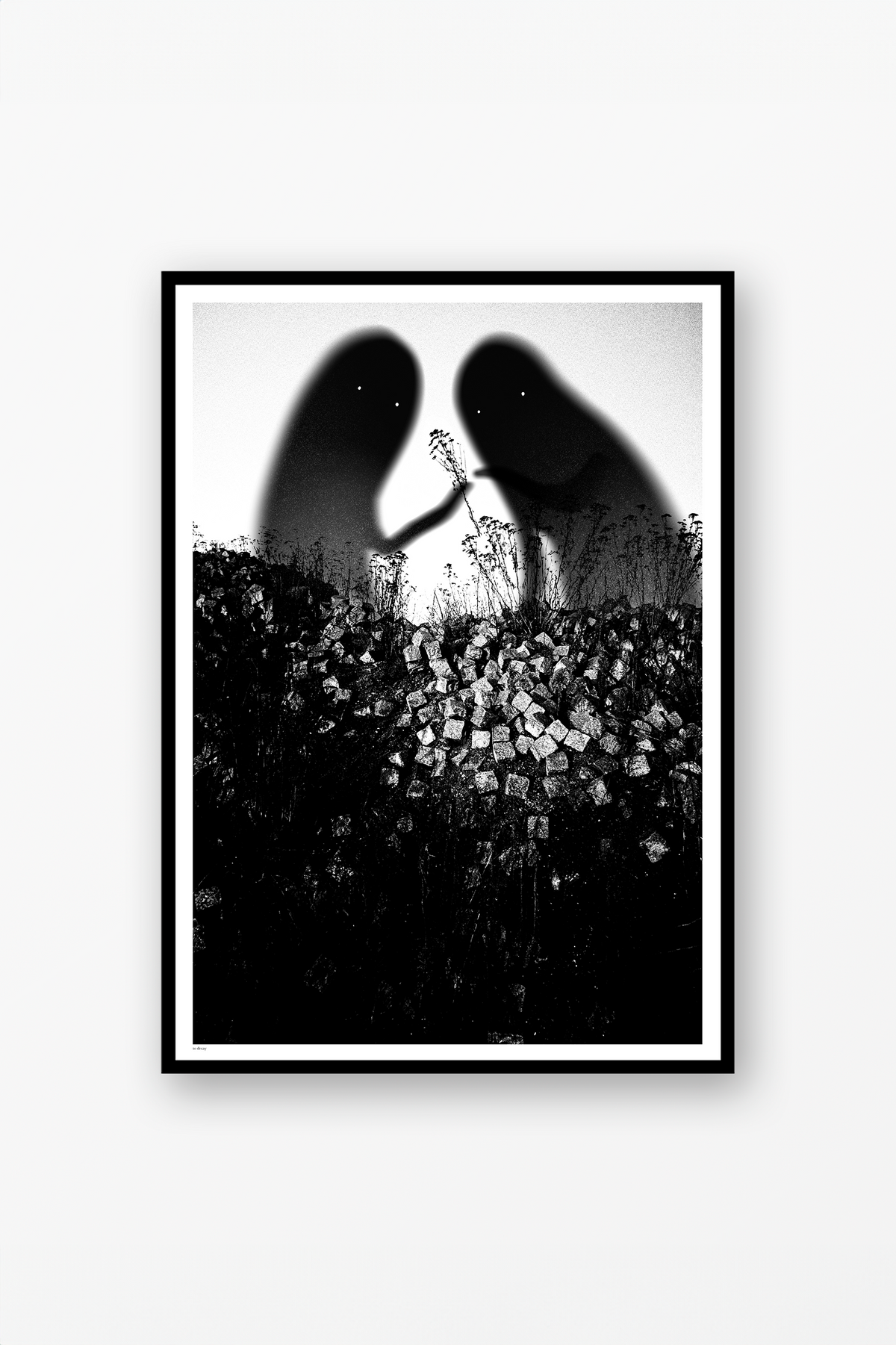 Ghost Flowers Poster