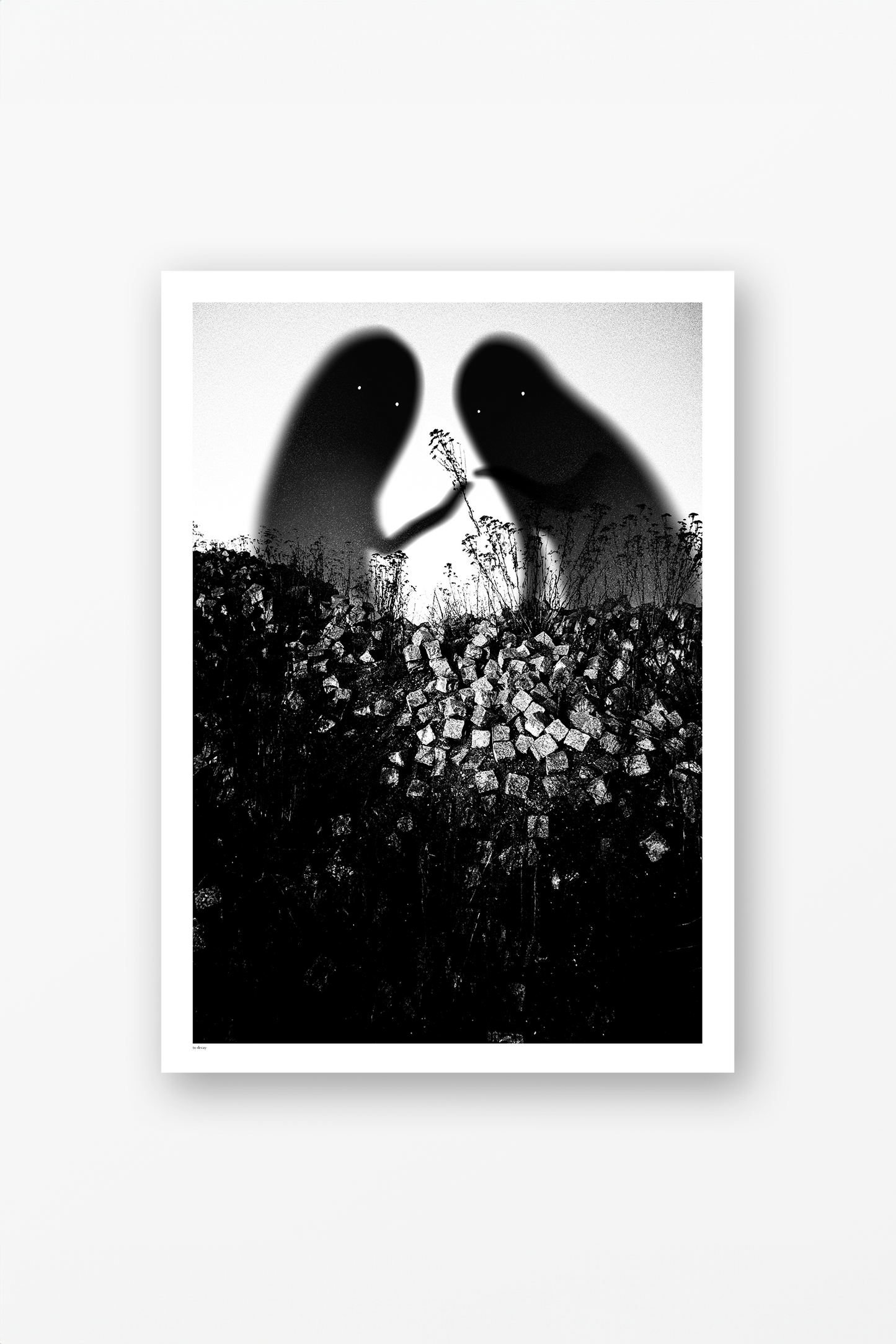 Ghost Flowers Poster