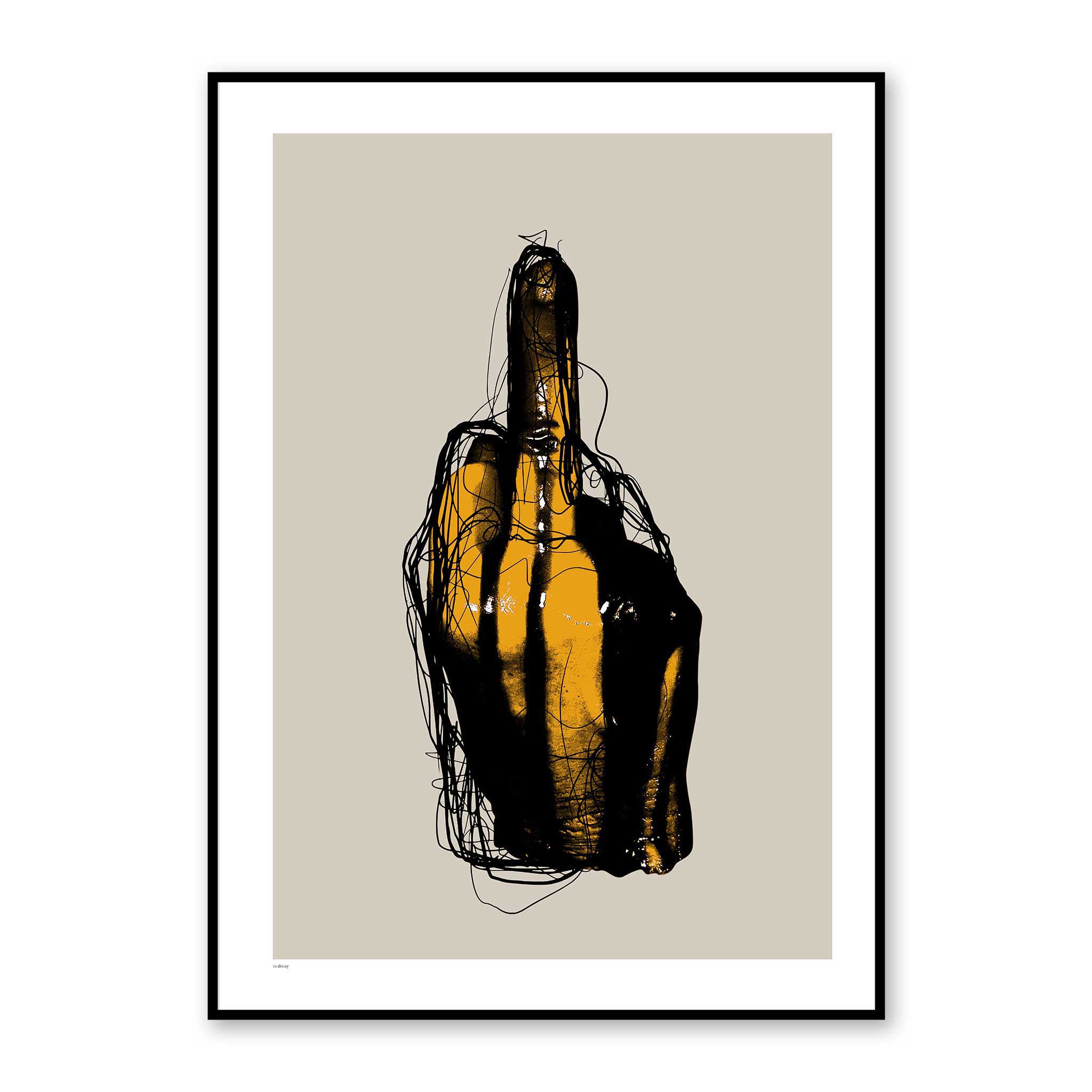 F*ck you Poster - to decay